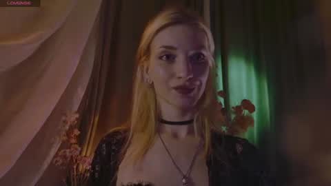 Snapshot of adelaidegilber_ chatting on July 2026 09:50:01 PM Adel online show from July 2026 09:50:01 PM