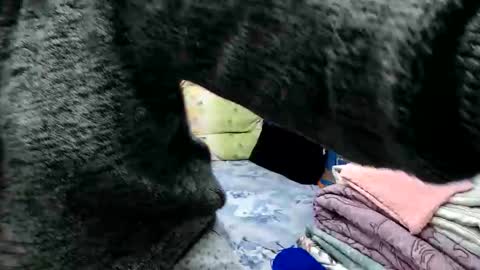 Larisa online show from November 2025 11:29:01 AM