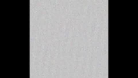 Victoria online show from February 2025 11:40:02 AM