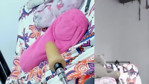 Snapshot of afroditacute16 chatting on November 2025 08:42:02 PM afroditacute16 online show from November 2025 08:42:02 PM