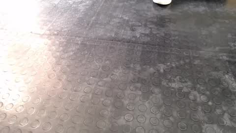 Snapshot of agata_darkness chatting on December 2025 06:57:02 PM Miss Agata online show from December 2025 06:57:02 PM