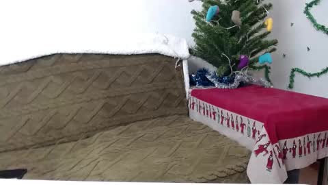 Agatha online show from January 2025 03:39:01 PM