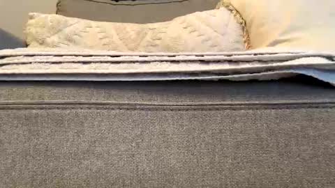 canadianboy92 online show from November 2025 06:59:02 PM