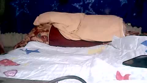 Snapshot of aislahrose chatting on January 2025 02:11:01 AM rosie online show from January 2025 02:11:01 AM