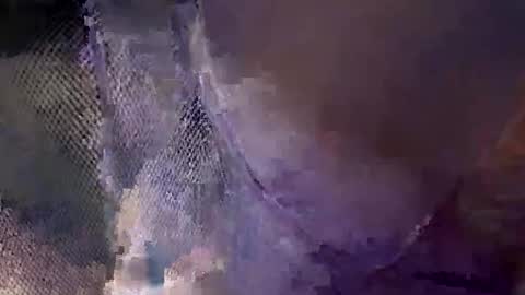 aj297914 online show from October 2025 05:54:02 AM