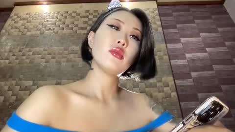 Snapshot of akemi_jp chatting on December 2024 06:39:01 PM Akemi online show from December 2024 06:39:01 PM