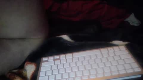 Snapshot of aken4it chatting on October 2025 07:27:01 PM aken4it online show from October 2025 07:27:01 PM