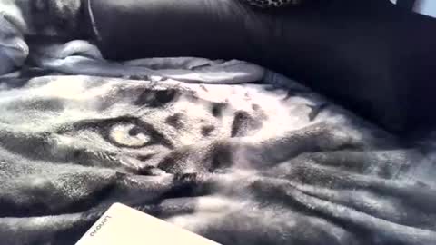 Snapshot of aken4it chatting on April 2026 11:35:01 PM aken4it online show from April 2026 11:35:01 PM