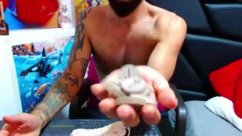 akiles online show from June 2026 11:58:01 PM