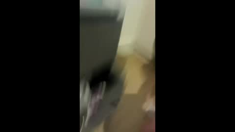 akkavo88 online show from April 2026 12:22:01 AM