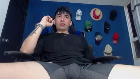 Snapshot of al3xxx_p chatting on April 2026 11:45:02 AM Alex online show from April 2026 11:45:02 AM