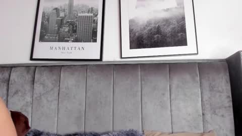 Snapshot of alaia_carter chatting on February 2026 03:27:01 AM Alaia Carter online show from February 2026 03:27:01 AM