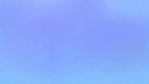 Alaia online show from November 2025 10:01:01 PM