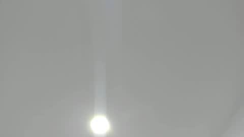 alana_2916 online show from December 2024 12:59:02 PM