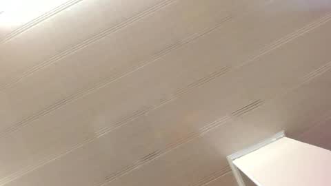 Maeve  online show from December 2024 11:09:01 AM