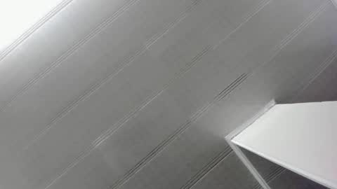 Maeve  online show from January 2025 11:03:02 AM