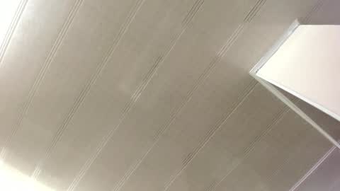 Maeve  online show from February 2025 10:35:01 AM