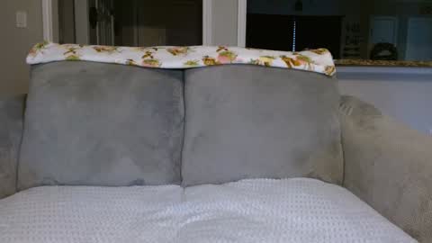 Alanna Rack online show from February 2025 02:14:02 PM