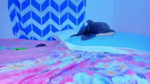 Alaska online show from January 2025 06:13:02 AM