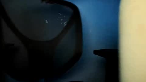 Snapshot of alberion75 chatting on May 2026 09:17:01 AM Alberion online show from May 2026 09:17:01 AM