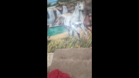 Snapshot of albina6543 chatting on February 2026 08:40:01 AM albina online show from February 2026 08:40:01 AM