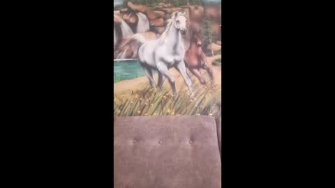 Snapshot of albina6543 chatting on February 2026 07:48:01 AM albina online show from February 2026 07:48:01 AM