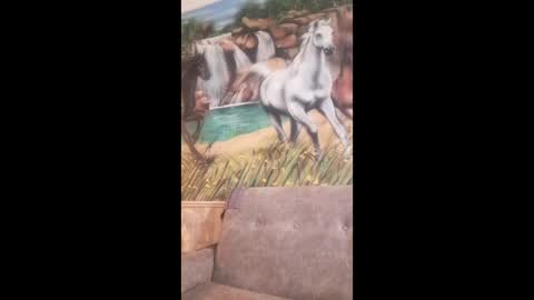 Snapshot of albina6543 chatting on February 2026 08:23:02 AM albina online show from February 2026 08:23:02 AM