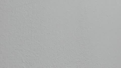 Alejandra online show from October 2025 01:31:02 PM