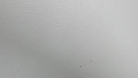 Alejandra online show from November 2025 01:37:01 AM