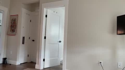 alex  online show from October 2025 06:51:01 PM