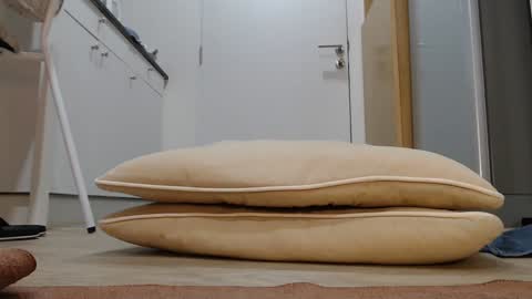 Nicha online show from November 2025 03:06:01 AM