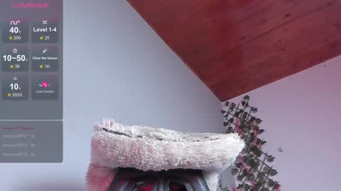 Dani online show from January 2025 08:51:02 AM