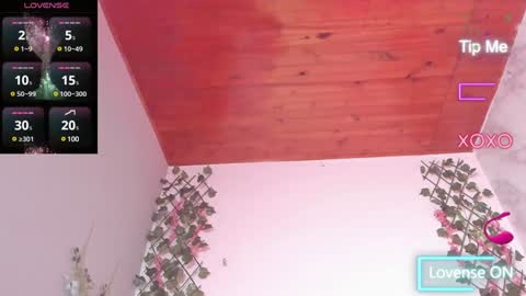 Dani online show from January 2025 07:08:02 AM