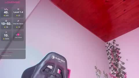 Dani online show from February 2025 09:34:02 AM