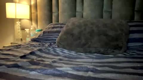 alexander grey online show from March 2025 11:44:02 PM