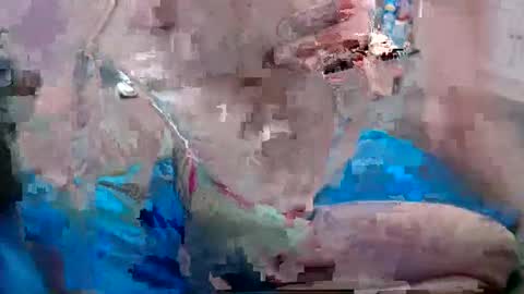 Doggystyle online show from December 2024 06:52:01 PM