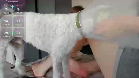 Alexia online show from November 2025 03:23:01 PM