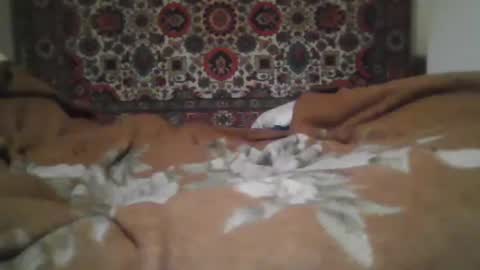 Snapshot of alferezsolvajo chatting on February 2026 03:43:02 PM alferezsolvajo online show from February 2026 03:43:02 PM