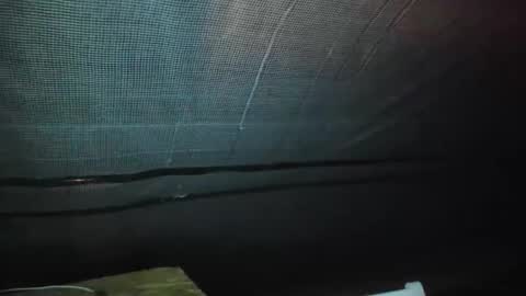 alfiesolomons87 online show from September 2025 02:11:02 AM