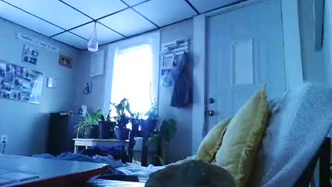 ali_tayler online show from November 2025 01:44:01 PM