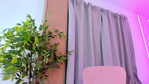 Alichery online show from April 2026 03:16:01 AM