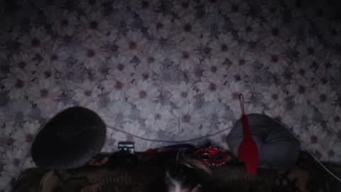 Snapshot of alice_longstocking chatting on February 2026 03:38:01 PM alice longstocking online show from February 2026 03:38:01 PM