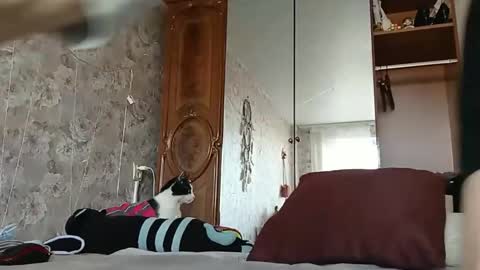 bigclit daddy squirt bigdildo fit online show from February 2025 11:21:02 AM