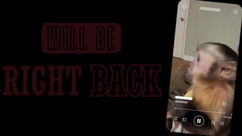 Sofia online show from March 2026 01:07:02 PM