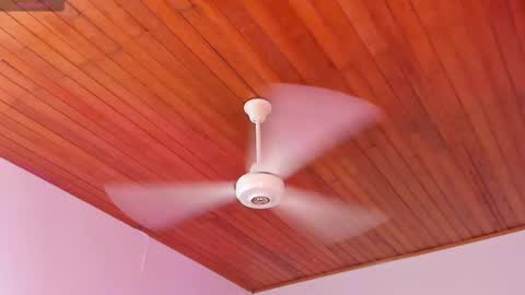  ALICEKIING online show from December 2025 03:00:02 AM