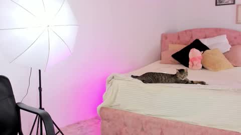  ALICEKIING online show from February 2026 04:24:01 AM