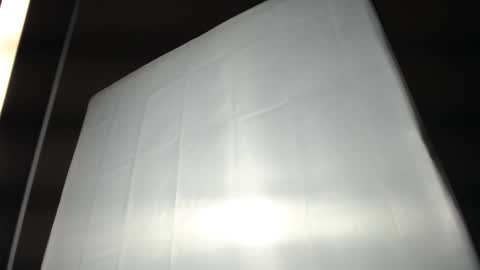 Ali online show from March 2025 11:55:02 AM