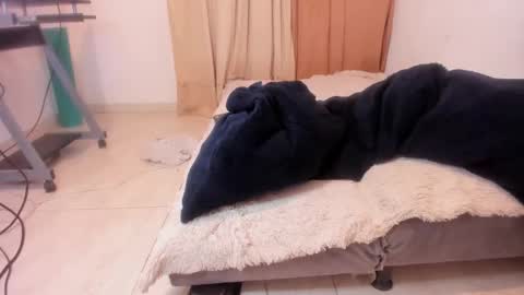 Alis 3 independent model 3 online show from February 2025 11:24:01 PM