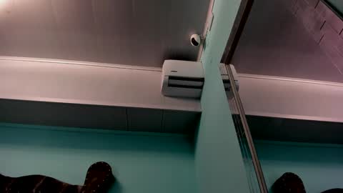 Snapshot of aliice_greco chatting on December 2024 10:58:02 AM Alice online show from December 2024 10:58:02 AM