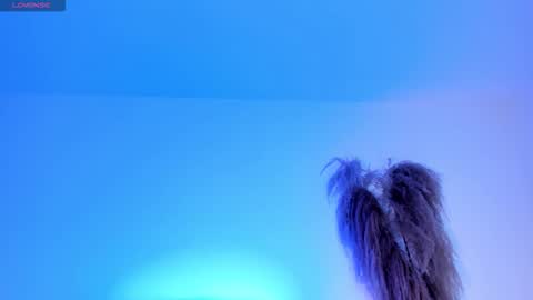 Alice online show from October 2025 02:07:01 PM